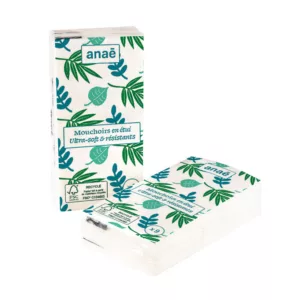 Mouchoirs papier en étui