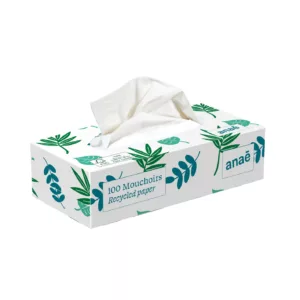 Boîte 100 mouchoirs fibres recyclées