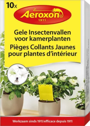 Piège collant plante d'intérieur x10