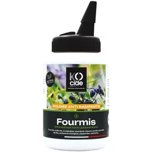 Poudre fourmis 200g